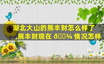 湖北大山的熊丰财怎么样了,熊丰财现在 🌾 情况怎样